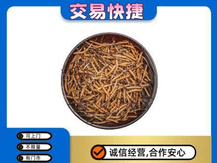 广元市剑阁回收散虫草